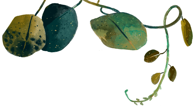 XOXO Festival illustration element 2