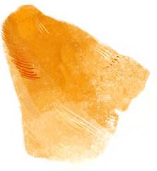 Decorative petal illustration 5