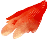 Decorative petal illustration 3