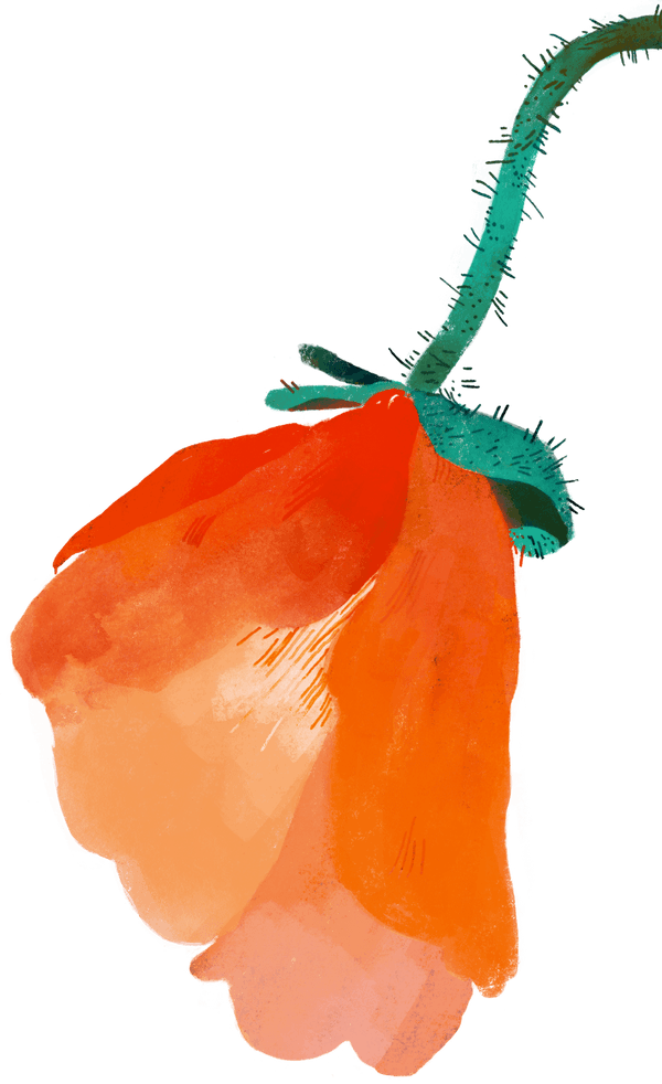 XOXO Festival illustration element 4